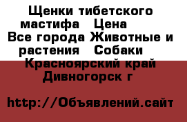 Щенки тибетского мастифа › Цена ­ 80 - Все города Животные и растения » Собаки   . Красноярский край,Дивногорск г.